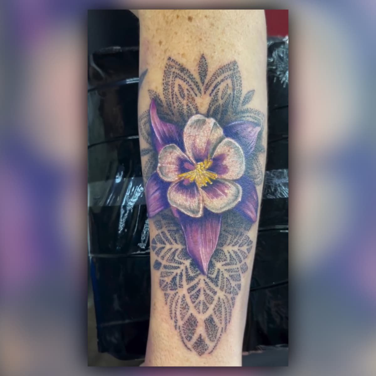 Recent tattoo work from Houses of the Holy